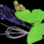 Artificial butterfly, beads, and decorative purple and silver stems arranged on a black background.
