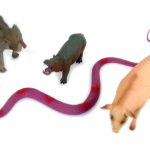 Four plastic animal figurinesโa gray elephant, a dark hippopotamus, a pinkish pig, and a purple snakeโare arranged on a white background.